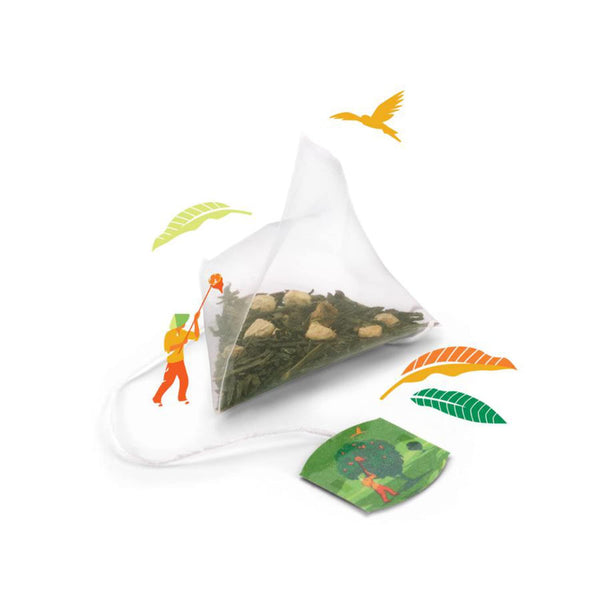 Twinings Discovery Collection Mango and Ginger Green Tea, 20 Large Leaf Pyramid Tea Bags with By The Cup Honey Sticks